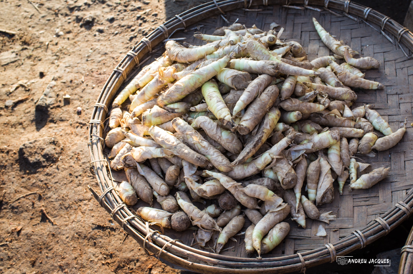 birmanie-151 (Grand).jpg